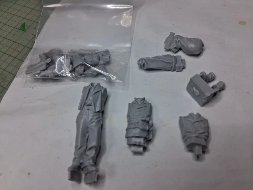 Buyer photo of this resin kit