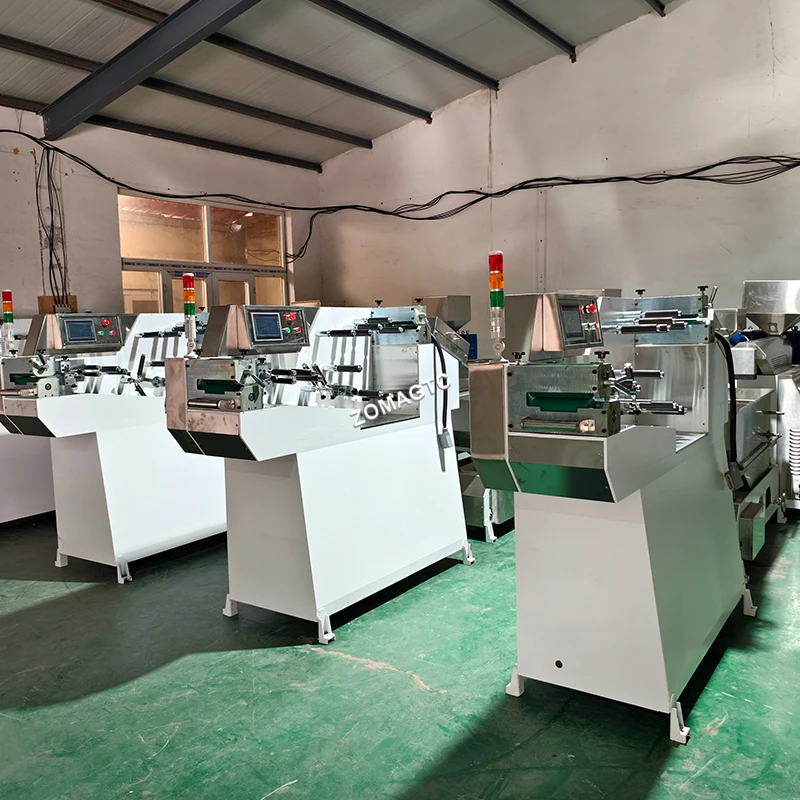 Fully Automatic Plastic Zipper Bag LDPE PP Zipper Lock Monofilament Extruder Making Machine