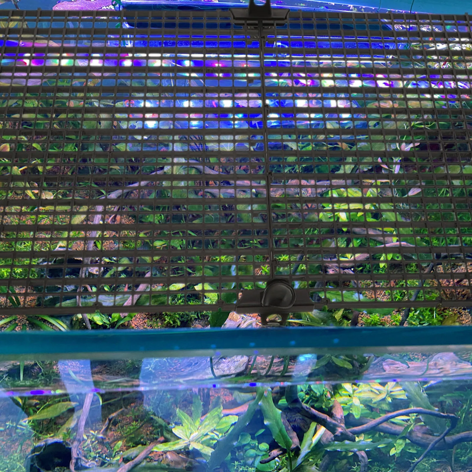 

2 Black 30x30cm Fish Tank Escape Plates 10 Suction Cups Aquarium Divider Isolation Board Grid Cover Plastic Separator Pet