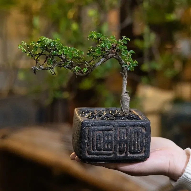Premium Chinese Style Square Landscape Succulents Planter Pots Luxury Elegant Desktop Flower Vases Ornament For Home Table Decor