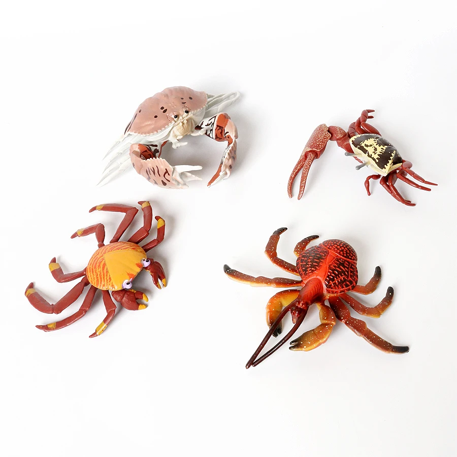 Animais do oceano realistas, caranguejo eremita, caranguejo de coco, fiddler, modelo de vida marinha, figuras de ação, criaturas do mar, brinquedos para decoração de casa