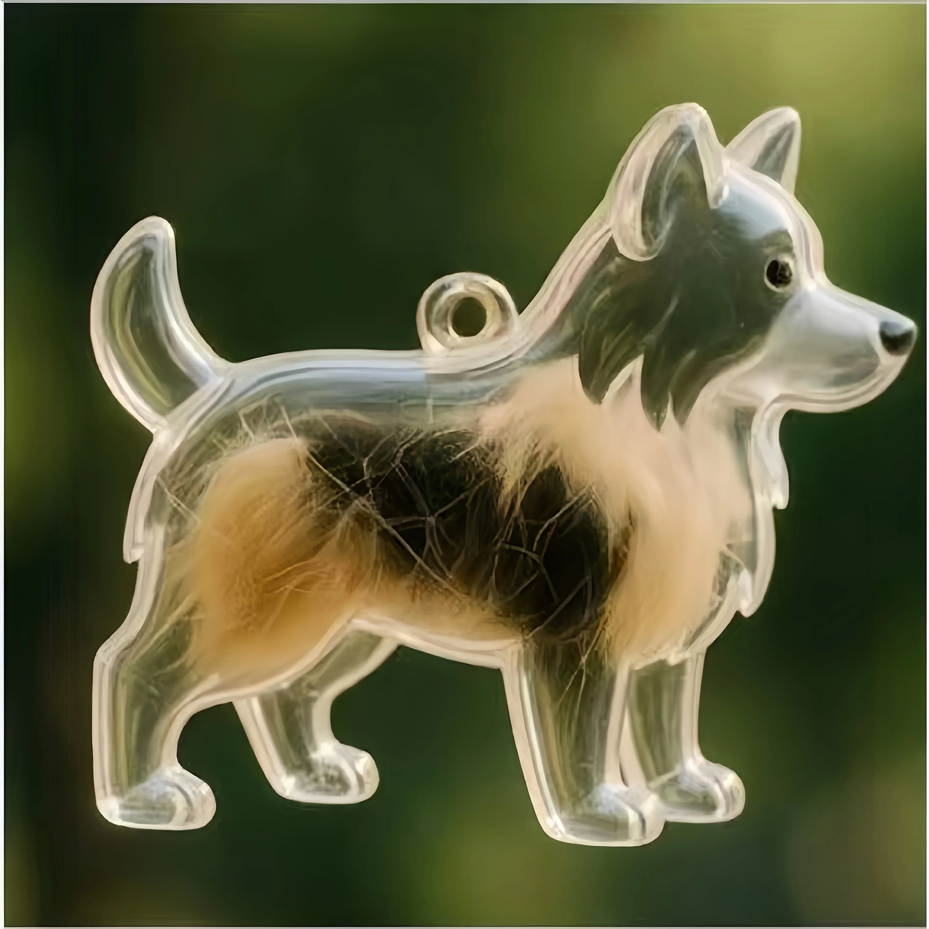 1 صندوق تذكاري لشعر الكلب - كبسولة تذكارية على شكل جرة، يمكن تخزين الشعر/الرماد، هدية تذكارية للحيوانات الأليفة للمالك