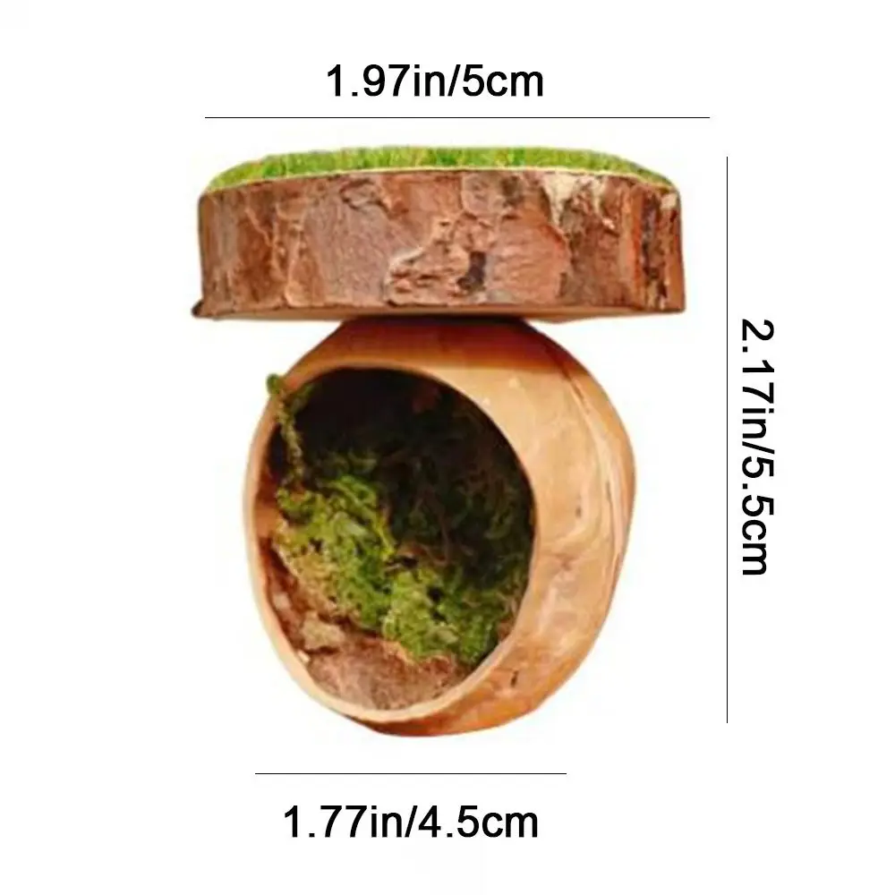 العنكبوت المغناطيسي إخفاء الكهف اليدوية البسيطة المغناطيسي العنكبوت الموئل الطبيعي إخفاء الزخرفية القفز العنكبوت الضميمة ديكور #6