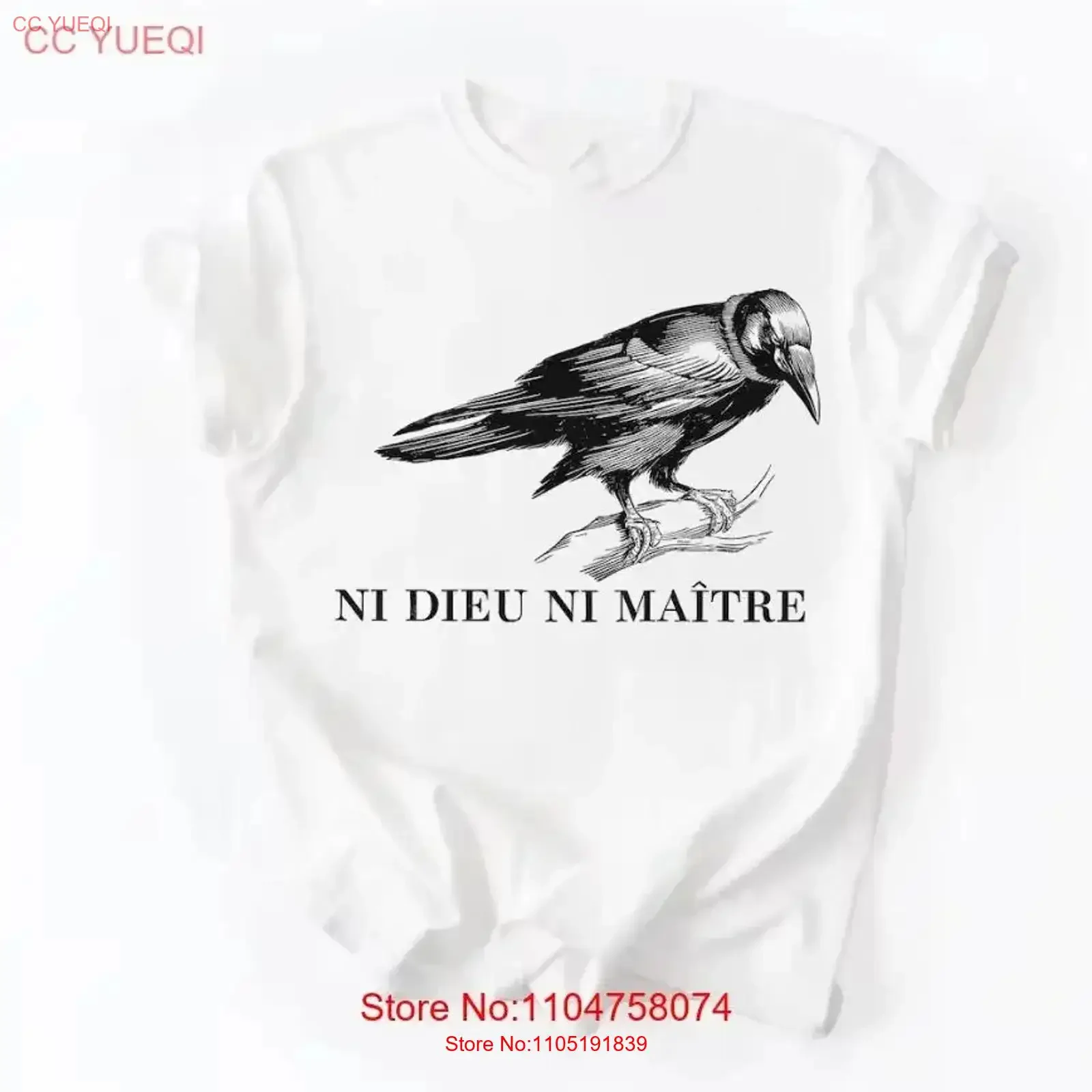 Anti Authoritarian …