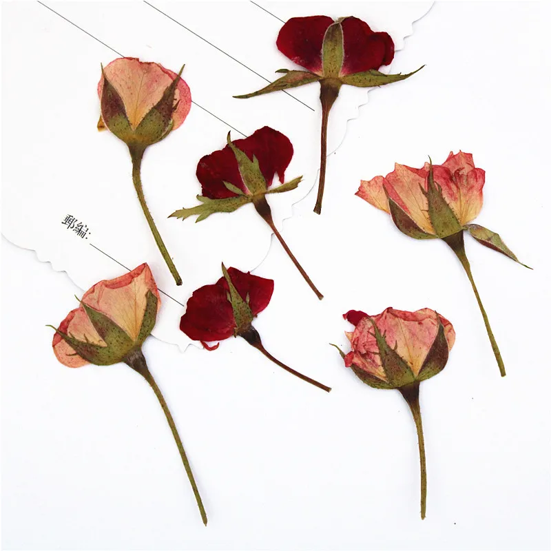 

Roses with branches pressed on the side are wrapped in real flower materials, and plant specimens are dried flowers. Bookmarks