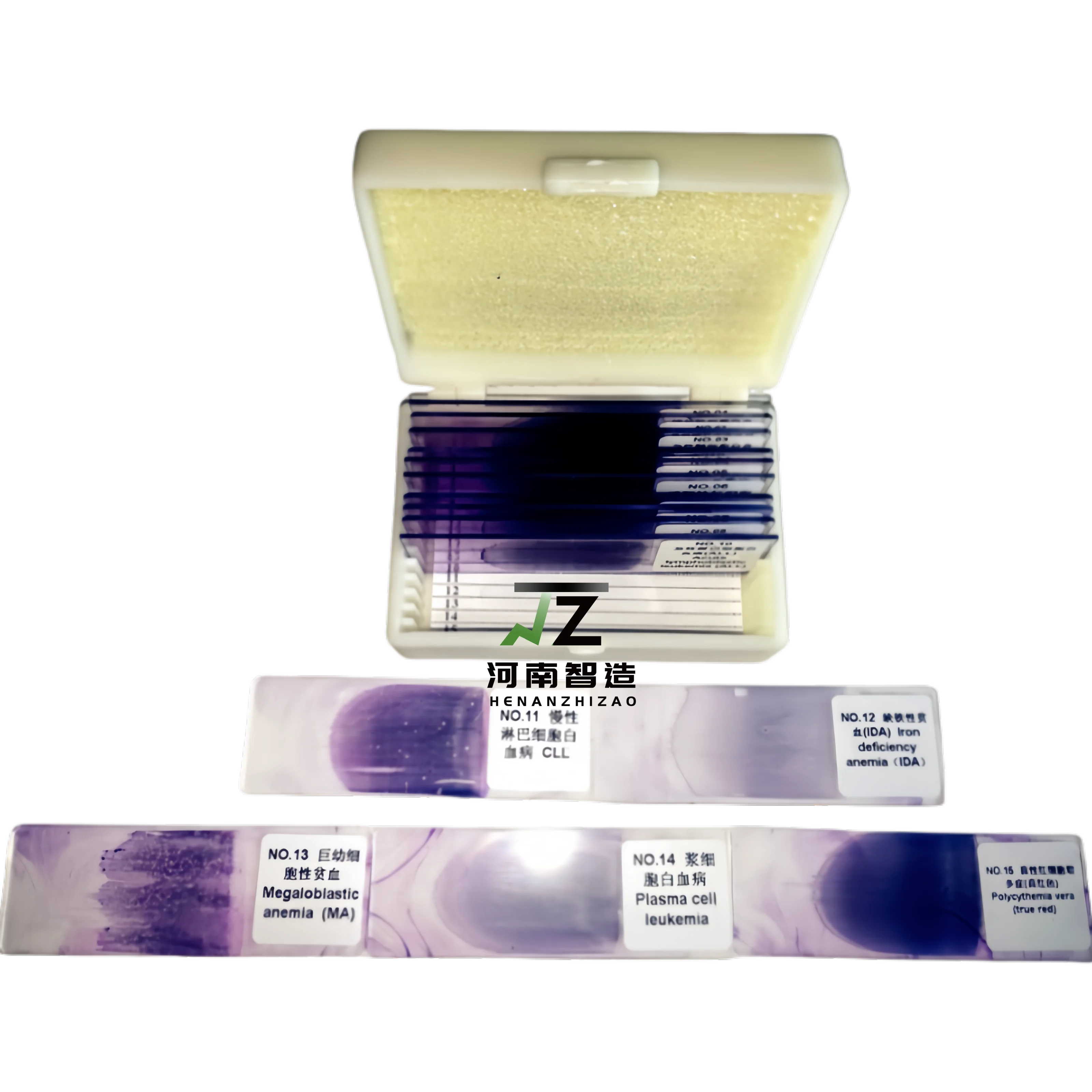 Educational School Equipment 15Pcs/Set Hematology Blood Smear Prepared Slides