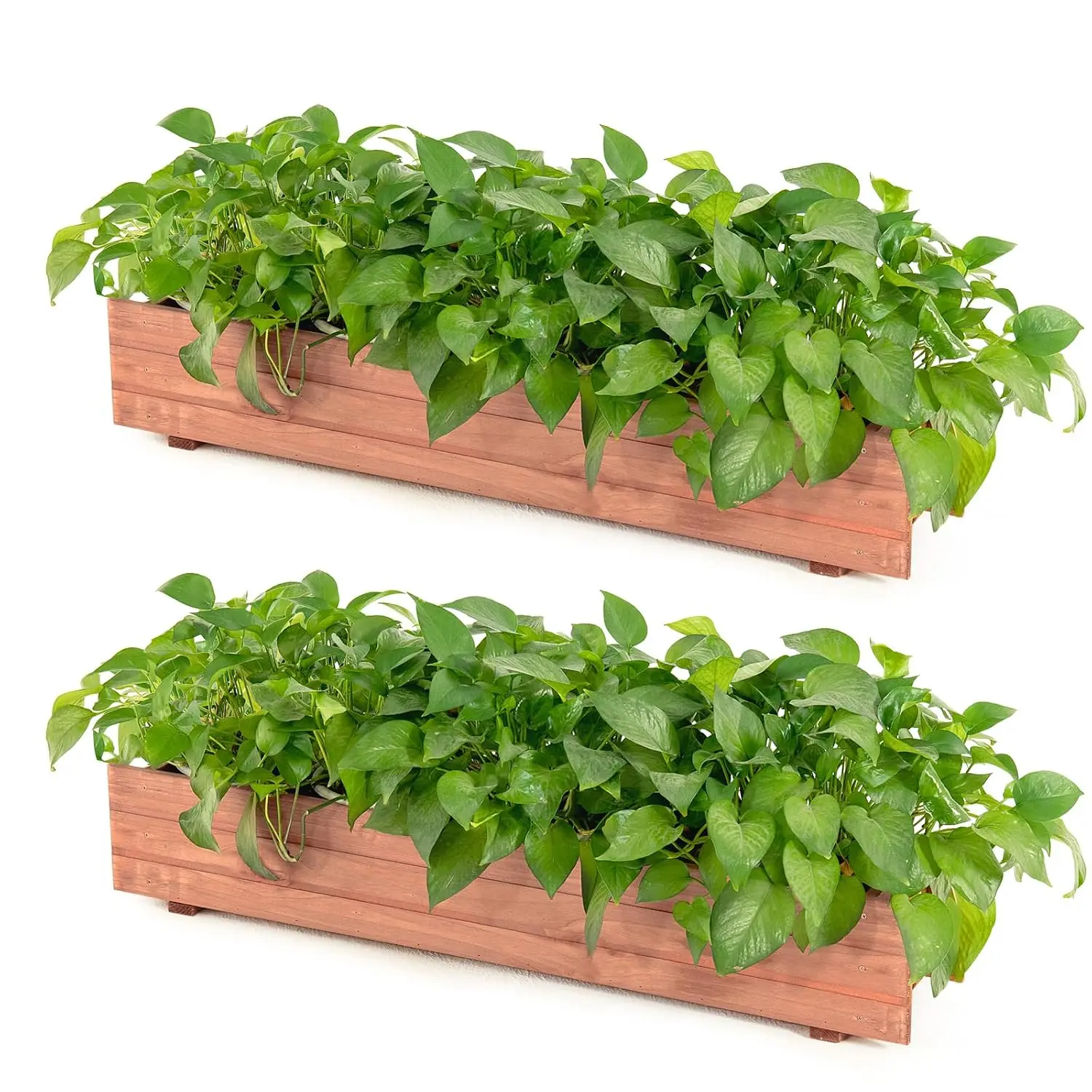 Raised Garden Bed Set of 2, 36