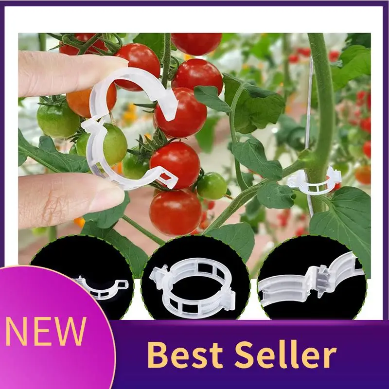 

40Pcs Tomato Hooks With String, Tomato Support Hooks, Tomato Holder Hooks & Plant Support Clips With 33.3Ft Twine Easy Install