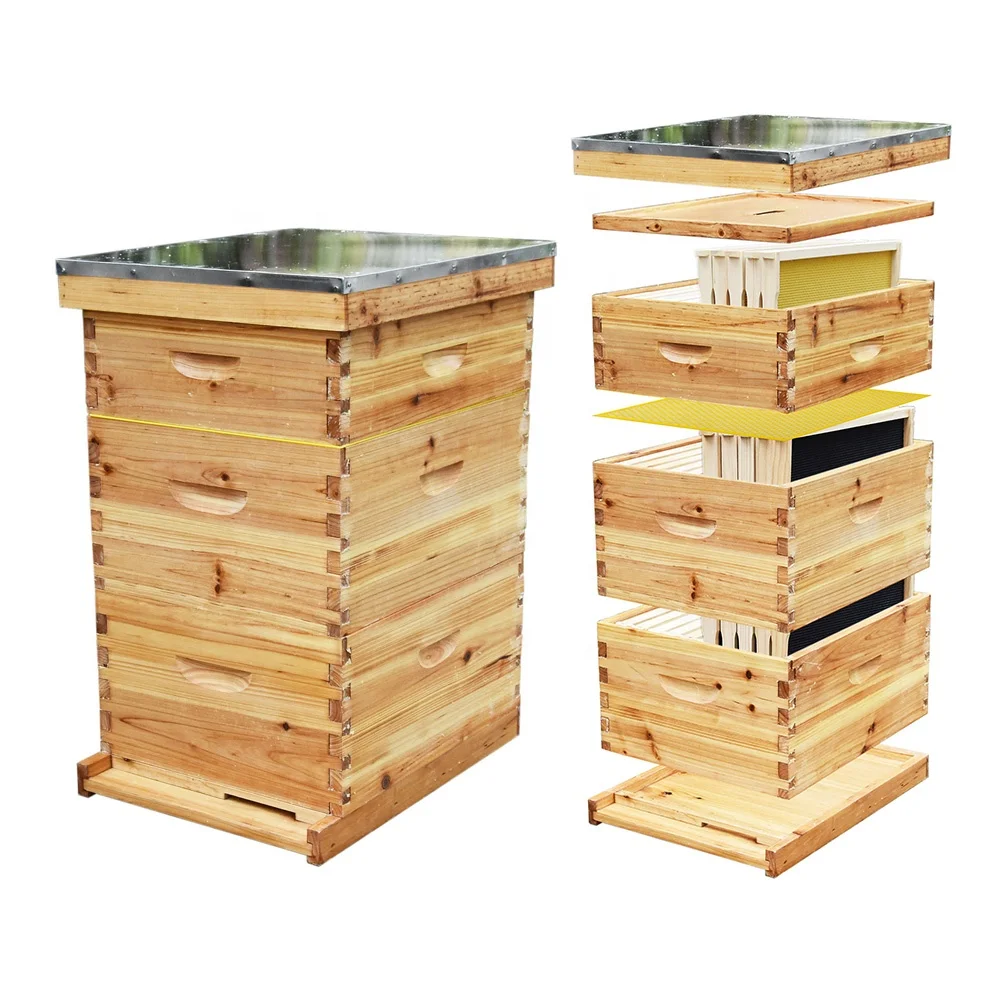 Benefitbee beekeeping 3 layers Langstroth beehive kit with 1 deep box and 2 super boxes bee hive complete