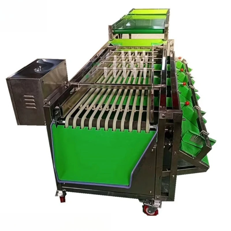Fotografia 4: Máquina de Classificação de Frutas e Vegetais com Correia Transportadora