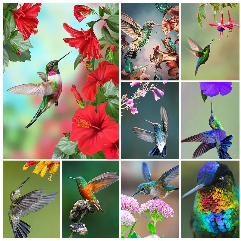 

Hummingbird 5D Diamond Painting Bird Full Square/Round Diamond Mosaic Painting Kits Animal Rhinestone Embroidery DIY Gift