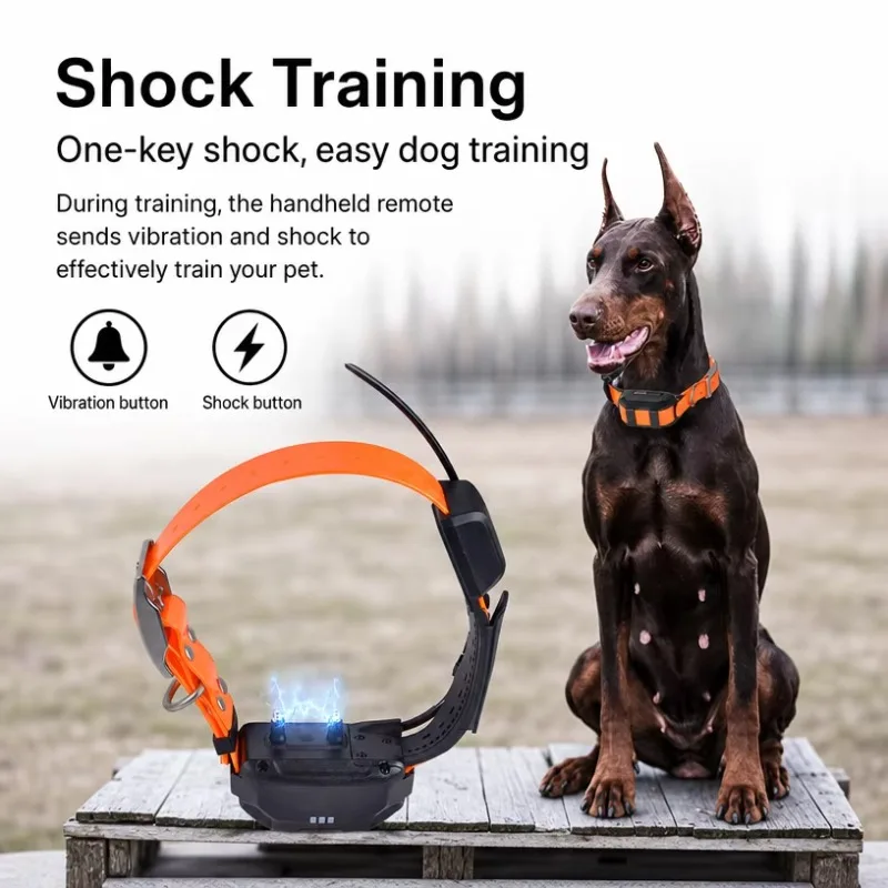 Professional GPS Dog Tracker 4G, Real-time 10KM VHF Positioning System for 10 Dogs, Waterproof Hunting Finder with Remote Talk