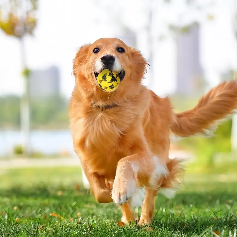 Pet Dog Toy Bite-resistant Elastic Ball Bouncy Chew Ball Witch Pattern Puppy Training Toy