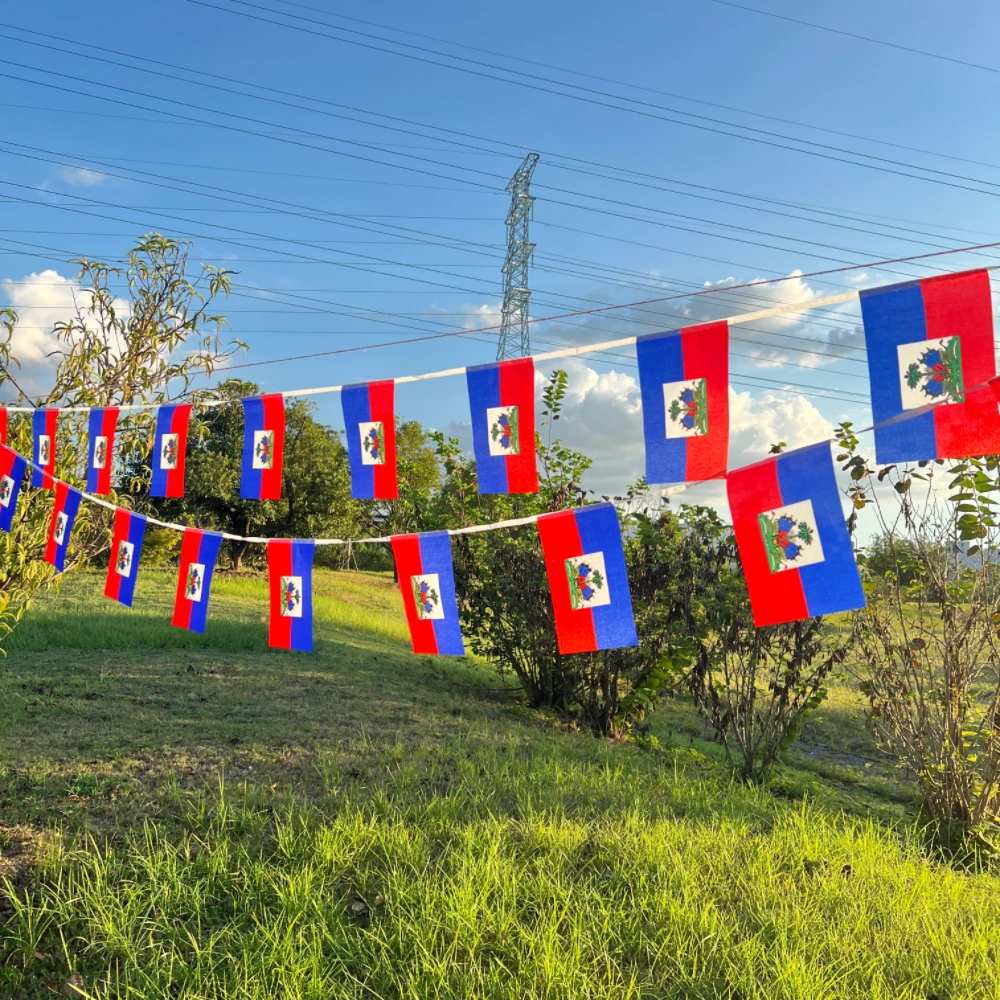 هايتي العلم 14x21cm20pcs/set، معلقة البوليستر الأزرق الأحمر 2 الجانبين المطبوعة العلم الوطني هايتي الرياضة راية #1