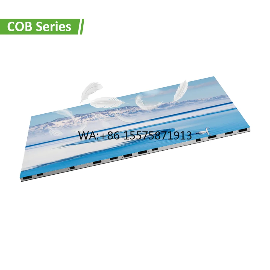 

P2.91 P3.91 P4.81 Pantal LED Video Wall 500x500 Die Casting Aluminum Portable Cabinet COB LED Screen Disp y