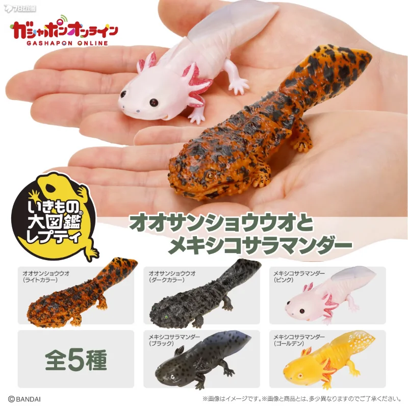 Original Bandai Gashapon Qversion Mini Big Biological Map Japanese Giant Salamander Gecko Model Toys Collection Gifts Ornament