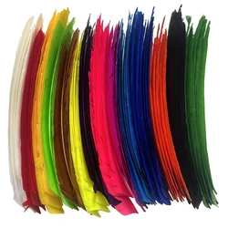 Plumes de flèche d'empennage naturelles multicolores, vraie plume de dinde pleine longueur, sans coupe, 50 pièces