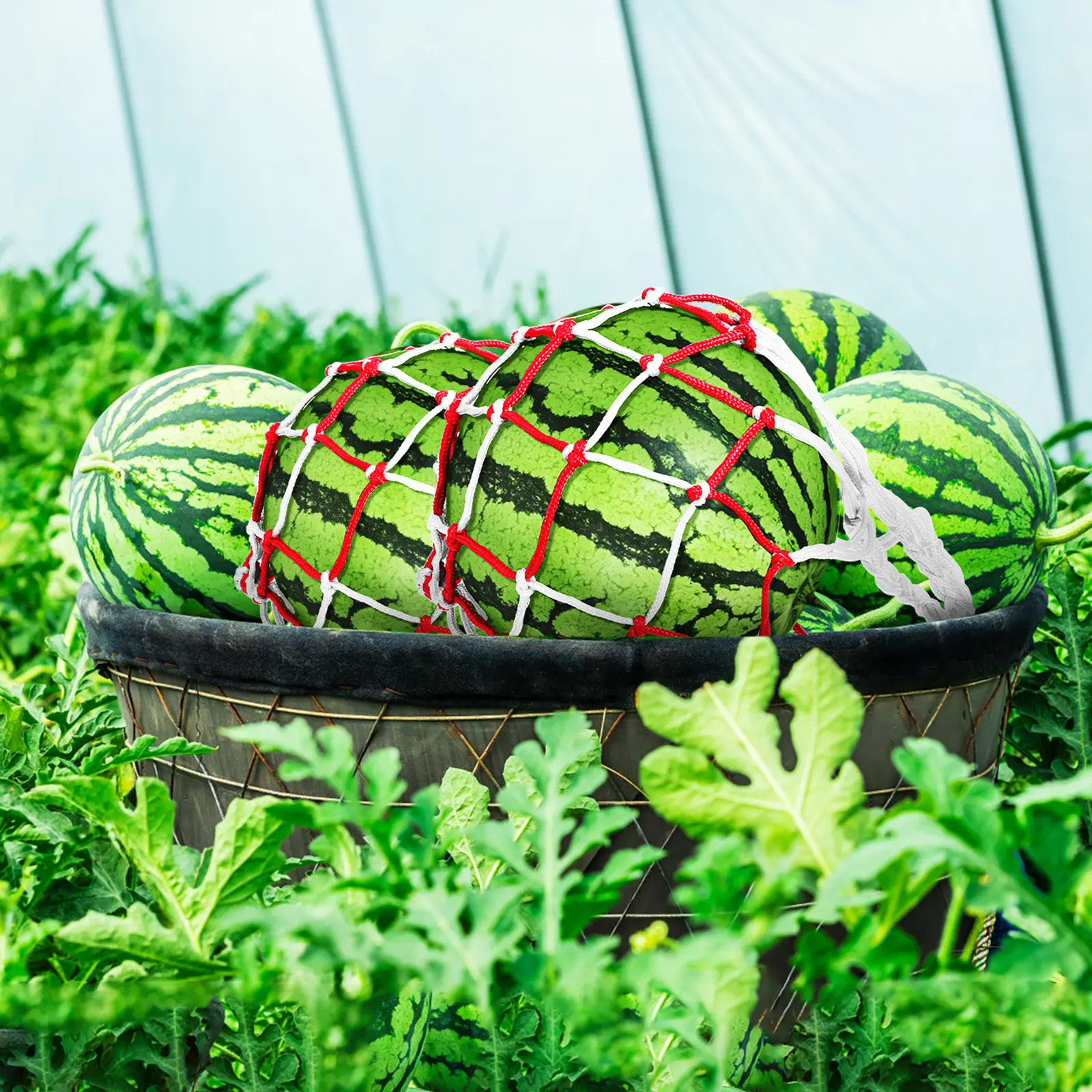

10 шт. подвесных сеток-гамаков для сада, многоразовые мешки-сетки для дынь и арбузов, подвесные корзины для фруктов с крючками, мешки для хранения урожая