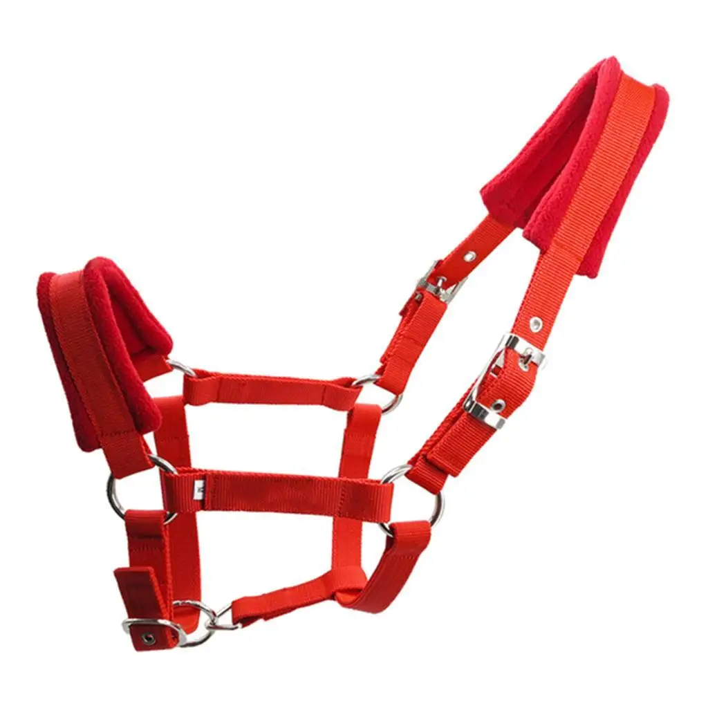 Thicken Pony Horse Halter Head Collar Horse Riding Stable Protective Red S