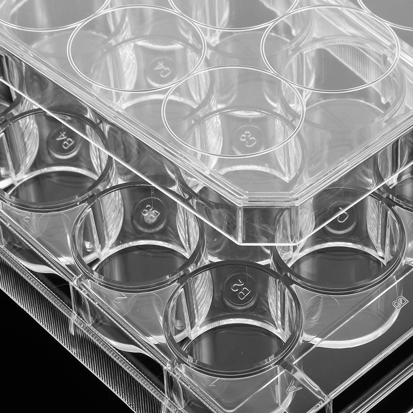 12 Well Culture Plate Transparent Plastic Lab Equipment for Tissue Culture Flat Surface Accurate Growth Tracking Multi