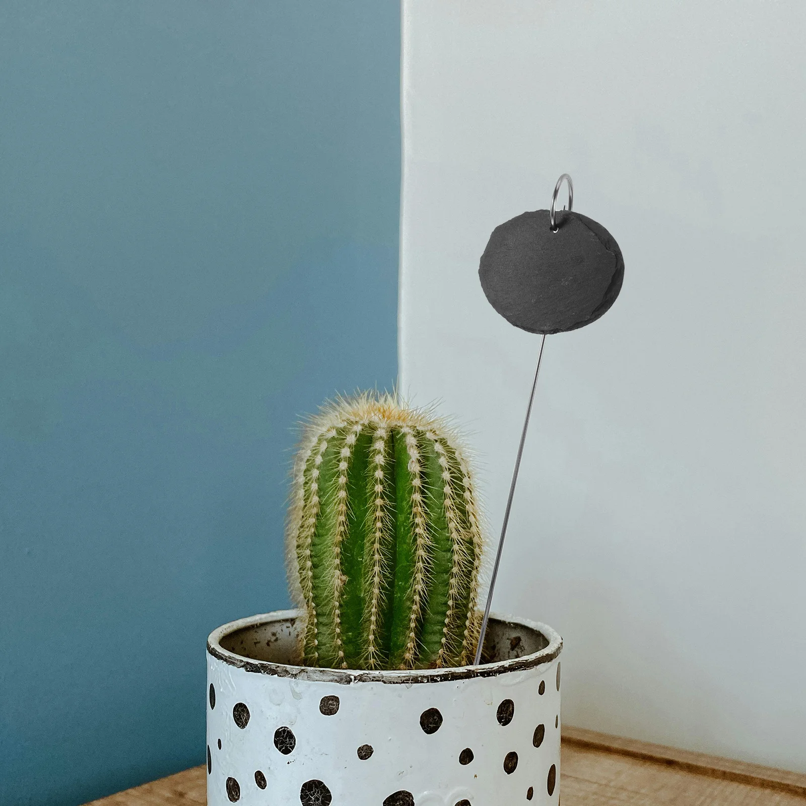 

2Pcs Durable Stainless Steel Garden Markers Weatherproof Plant Tags for Outdoor Indoor Use with Ample Writing Space