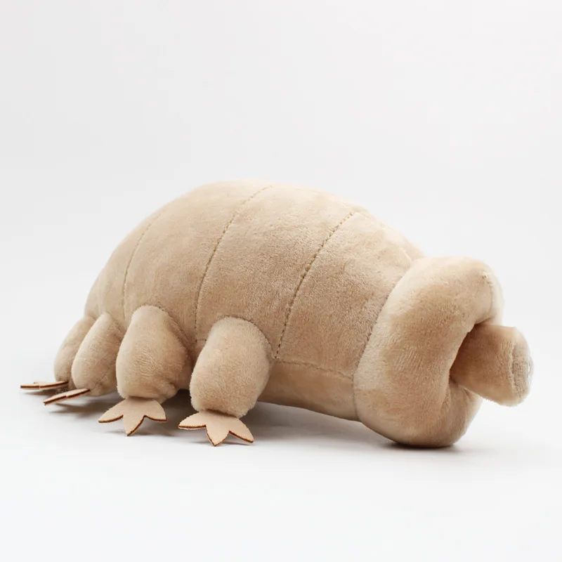 25cm Cute Tardigrade Plush Dolls Simulation Plush Toys Deep Sea Creatures Pillow  Kids Educational Toy Birthday Gifts