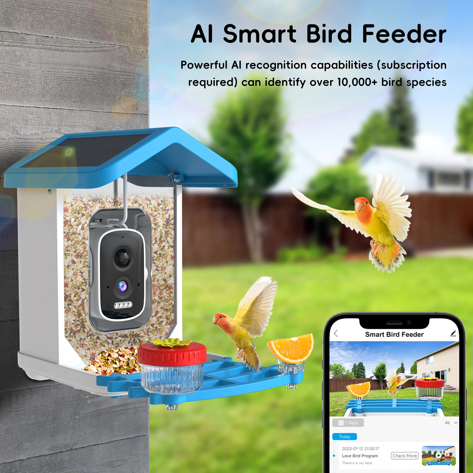 Solar Bird Feed Camera Wireless Outdoor IP Camera Feeder Waterproof HD Bird Video NightVision Identify birds Species