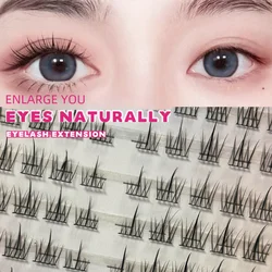 10 Rows Of Large Capacity Sunflower Lash Clusters Nature DIY False Eyelashes 120 Clusters Extension Wispy Eye Lashes Makeup