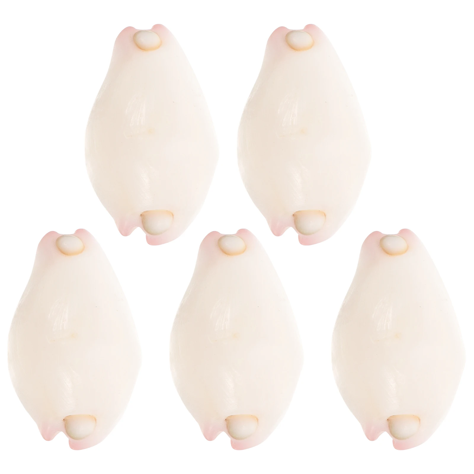 

5pcs Shell Beads Pcs Natural Shell Beads For Crafting Seashell Jewelry Craft DIY Materials Abalone Smooth Surface