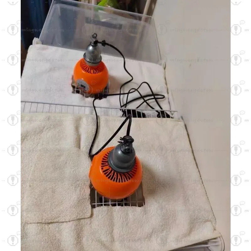 

Chicken Heating Lamp Farm Animal Warm Light For Piglet Duck Temperature Controller Heater For Incubator Farm Tools 100-300W