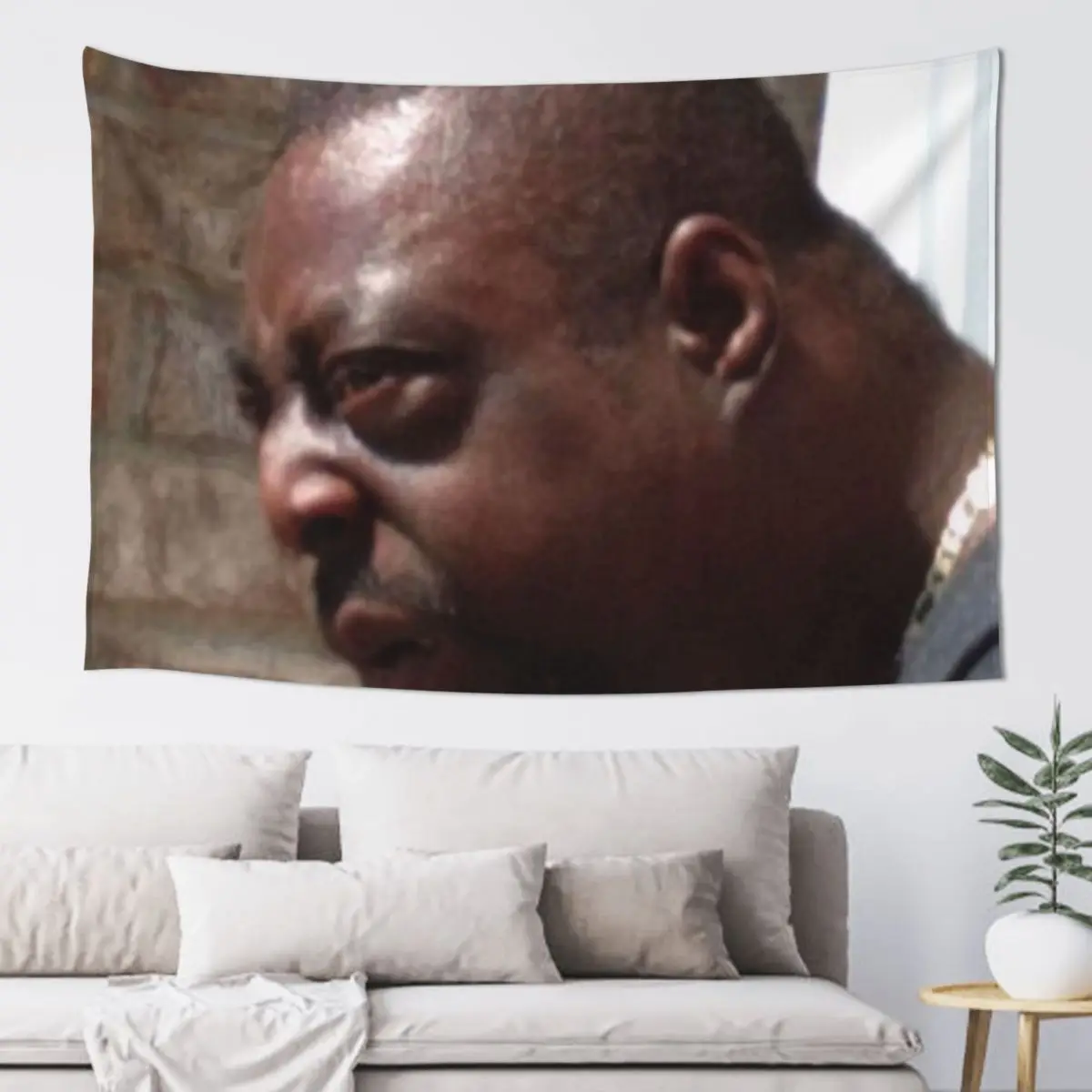 

Funny photo meme Tapestry Decoration For Bedroom Decoration For Home Living Room Decoration Room Decorating Aesthetic Tapestry