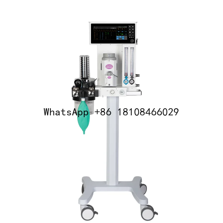 Derry Petcare Small Animal Surgery Equipment Scientific Research Anesthesia Machine Portable Veterinary Anesthesia Machine