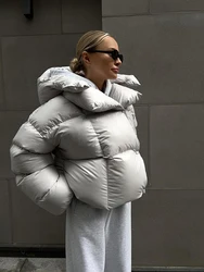 2024 Winter Vrouwen Katoenen Gewatteerde Jas Vrouwen Streetwear Sneeuw Parka Gepersonaliseerde Capuchon Puffer Jas Rits Bovenkleding