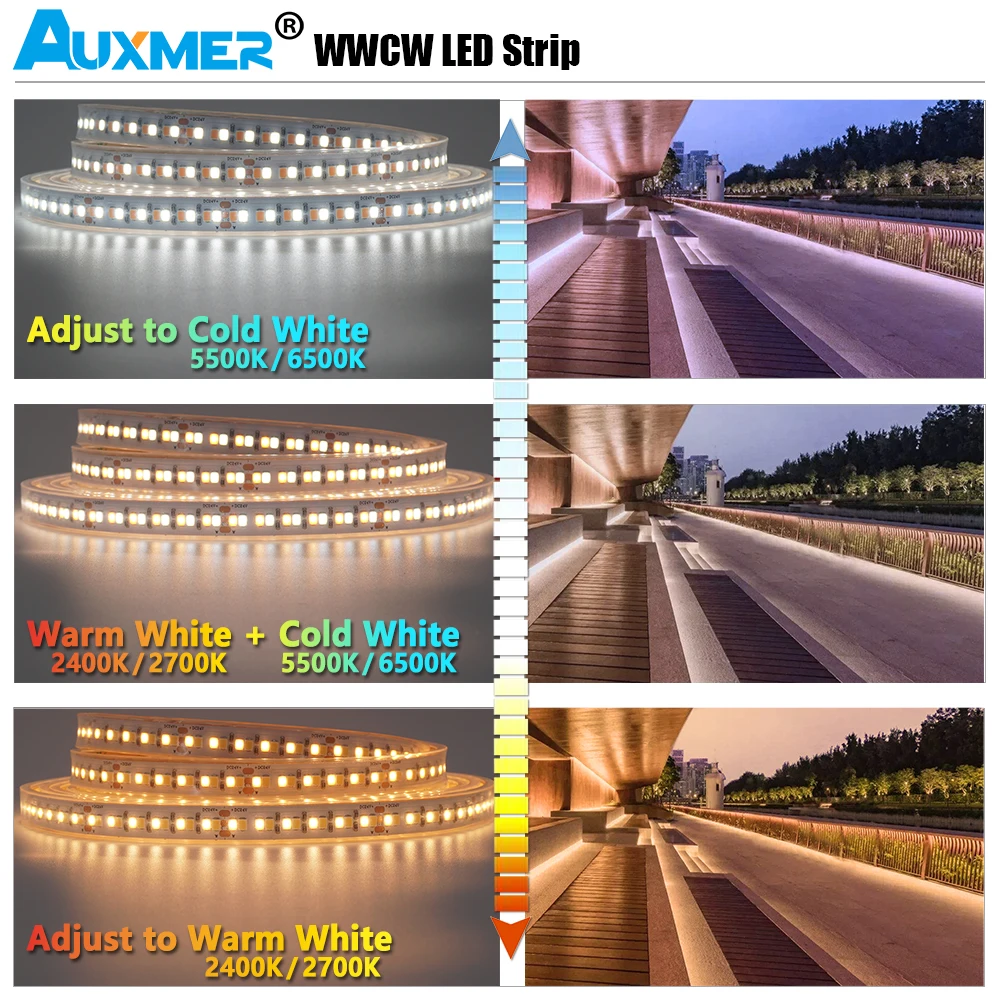 Low Power 2835 WWCW LED Strip Lights,CCT 240LEDs/m 19.2W/m,IP65 Waterproof,CRI95/90 24V,Diode Tape Color Temperature Adjustable