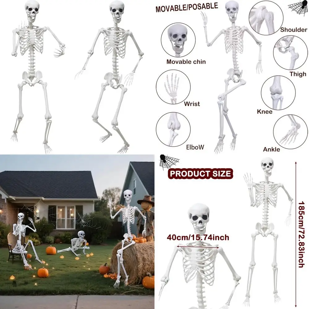 

Life Size 5.9 Ft Posable Skeleton Set - 2 Full Size Movable Joint Plastic Human Skeletons for Halloween Decorations