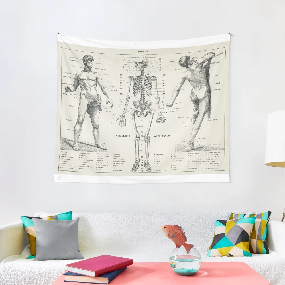 

Vintage Anatomy 1900s Tapestry Bed Room Decoration Bedroom Organization And Decoration For Bedroom Tapestry