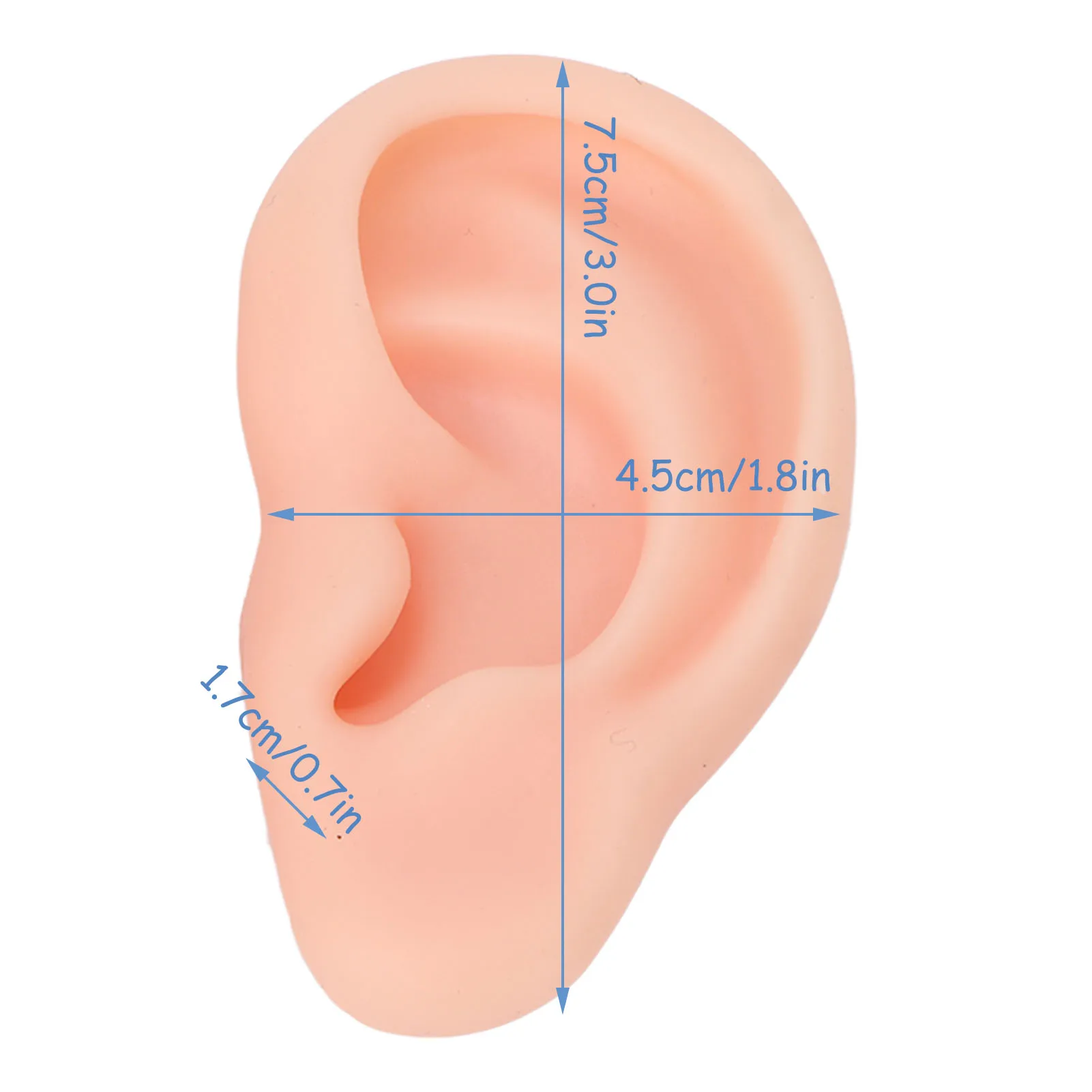 1 Pair Silicone Ear Model Soft Flexible Simulation Artificial Ear Model for Earrings Display Ear Piercing Exercise