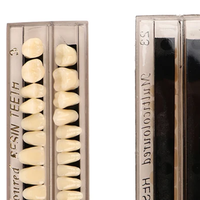 28 Teeth/set Resin Denture Teeth 3d Shade Guide Color Comparator Mirror Dentistry Cold Light Teeth White Bleaching Dental Plate