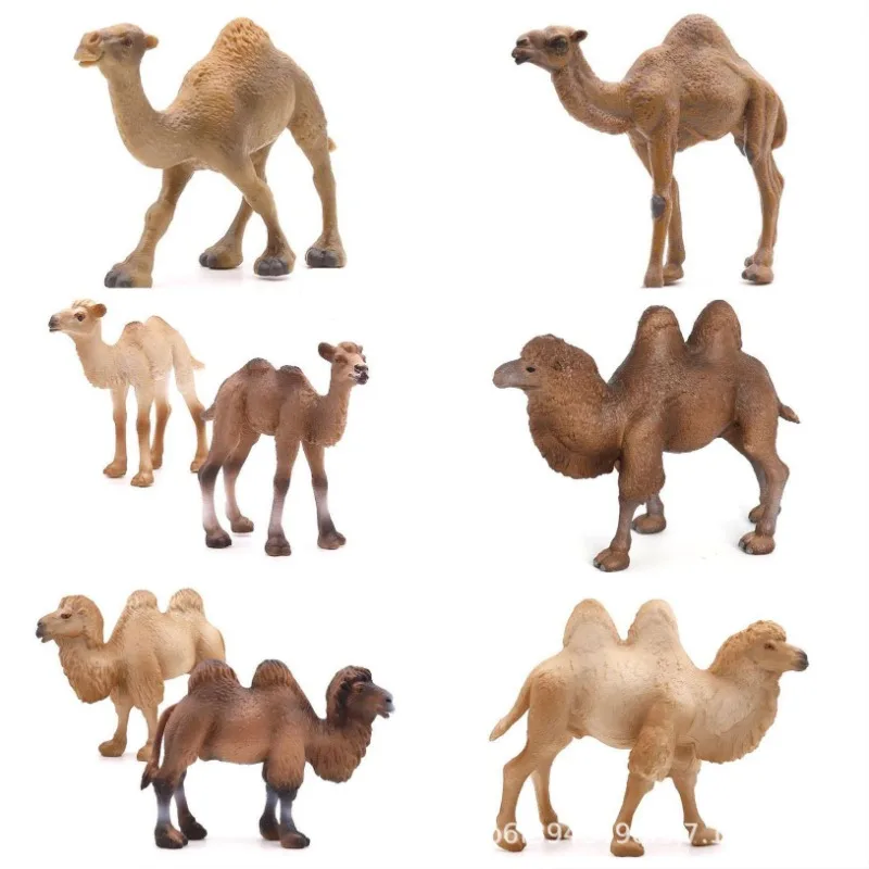 Hot Selling Realistic Camel Model - Single-Humped Camel Figurine  Static Children\'s Toy - Double-Humped Camel Figurine Model