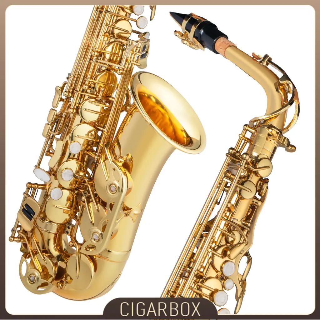 NAOMI Alto Saxophone E Flat Gold Lacquer SAX NSA-802 Saxophone+Cleaning Cloth Mouthpiece Cork Grease Reeds Gloves Carry Case NEW