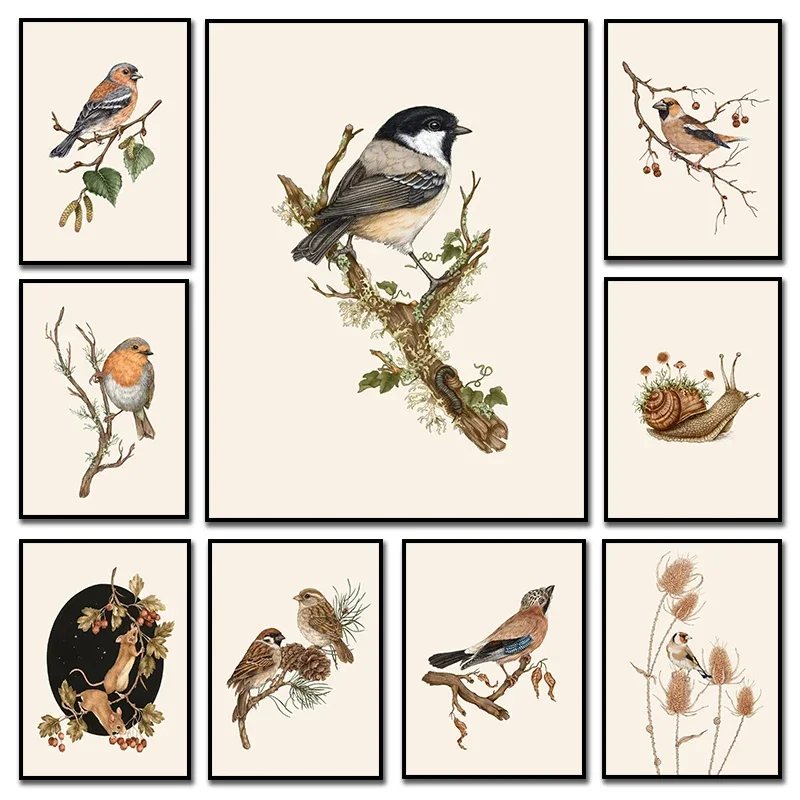 1pc frameless Canvas Painting Retro Animal Garden Snail Goldfinch Mouse on Hawthorn Birds Branches Art Poster Canvas Painting An