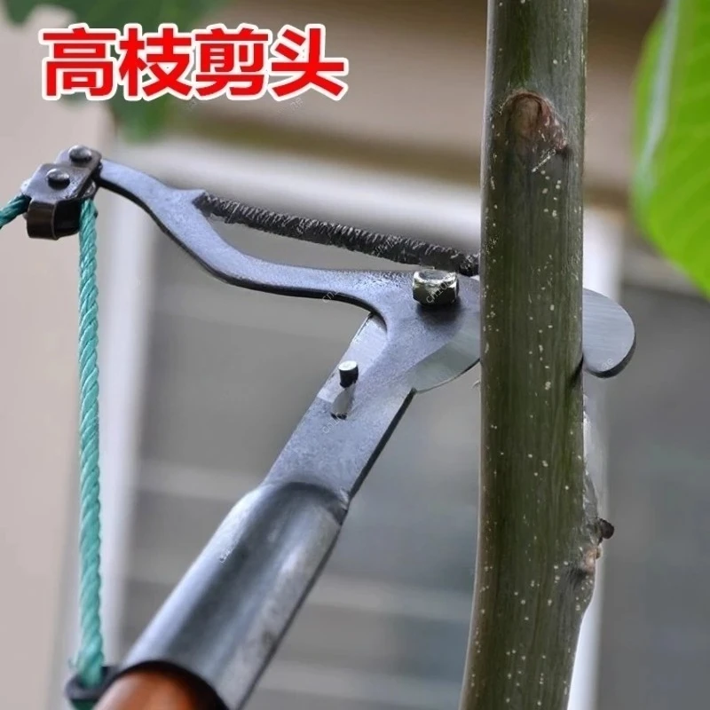 Podadora de árboles de largo alcance, cortador de ramas altas, recogedor de frutas, tijeras de podar telescópicas, herramienta de jardinería para recortar y cortar