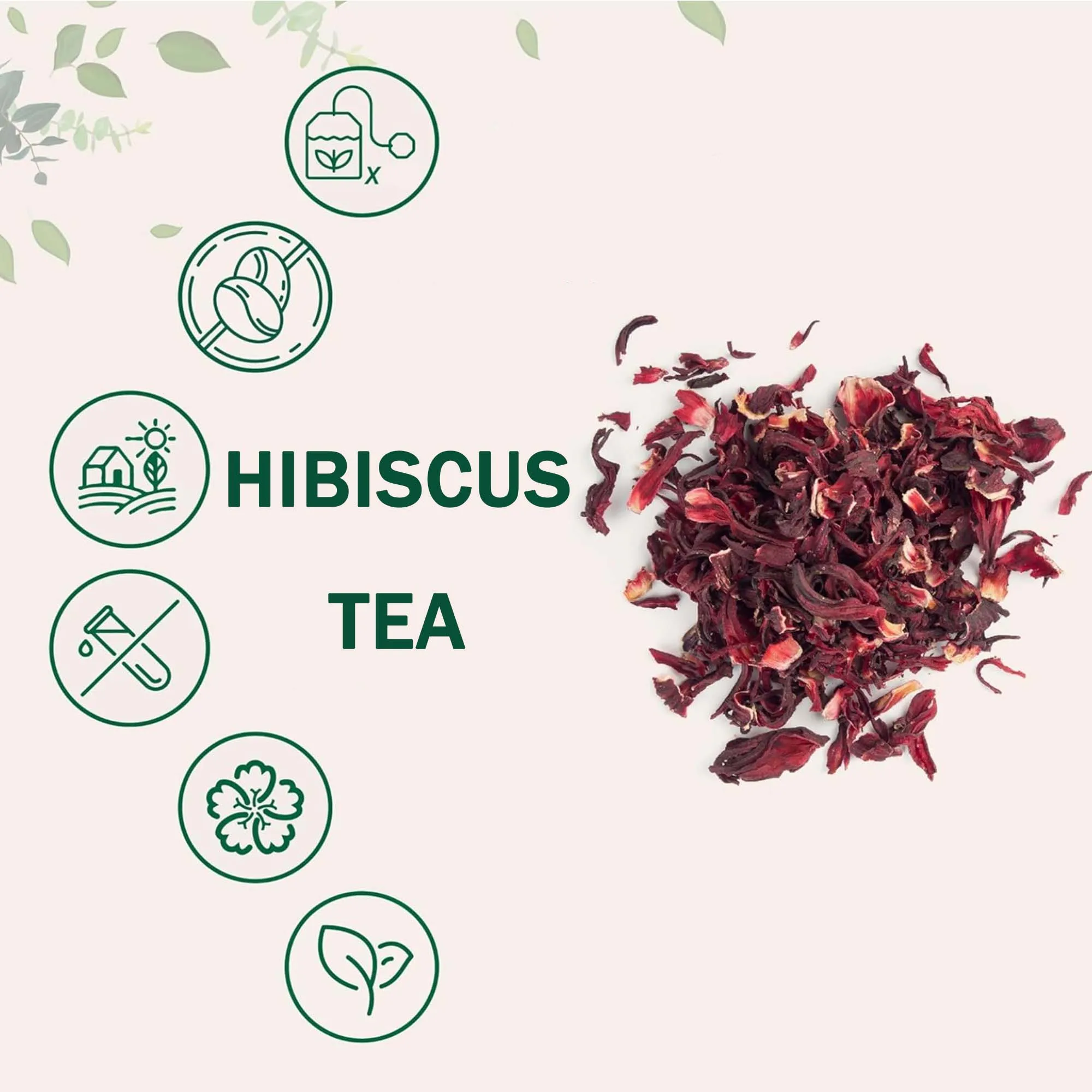 Bustina di tè ai fiori Luoshen, bustina di tisana decaffeinata, ricca di antiossidanti, regalo per gli amanti del tè, miscela ricca di antiossidanti