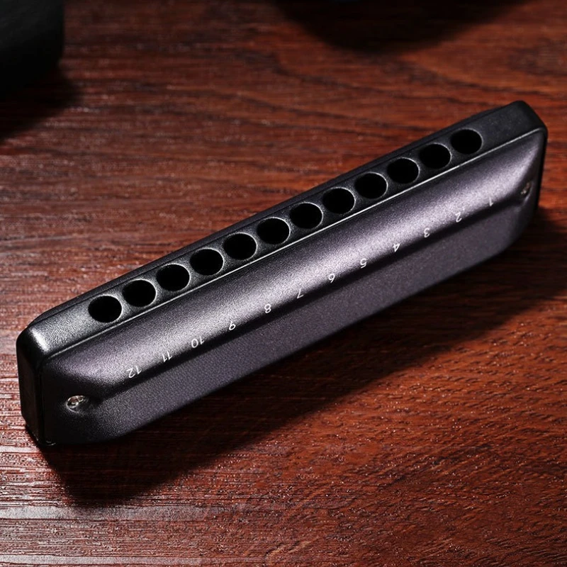 Diatonic Harmonica 12 Hole Blues Harmonicas A/B/C/D/E/F/G Key Beginner Practice Harmonica Adults Band Performance Harmonicas