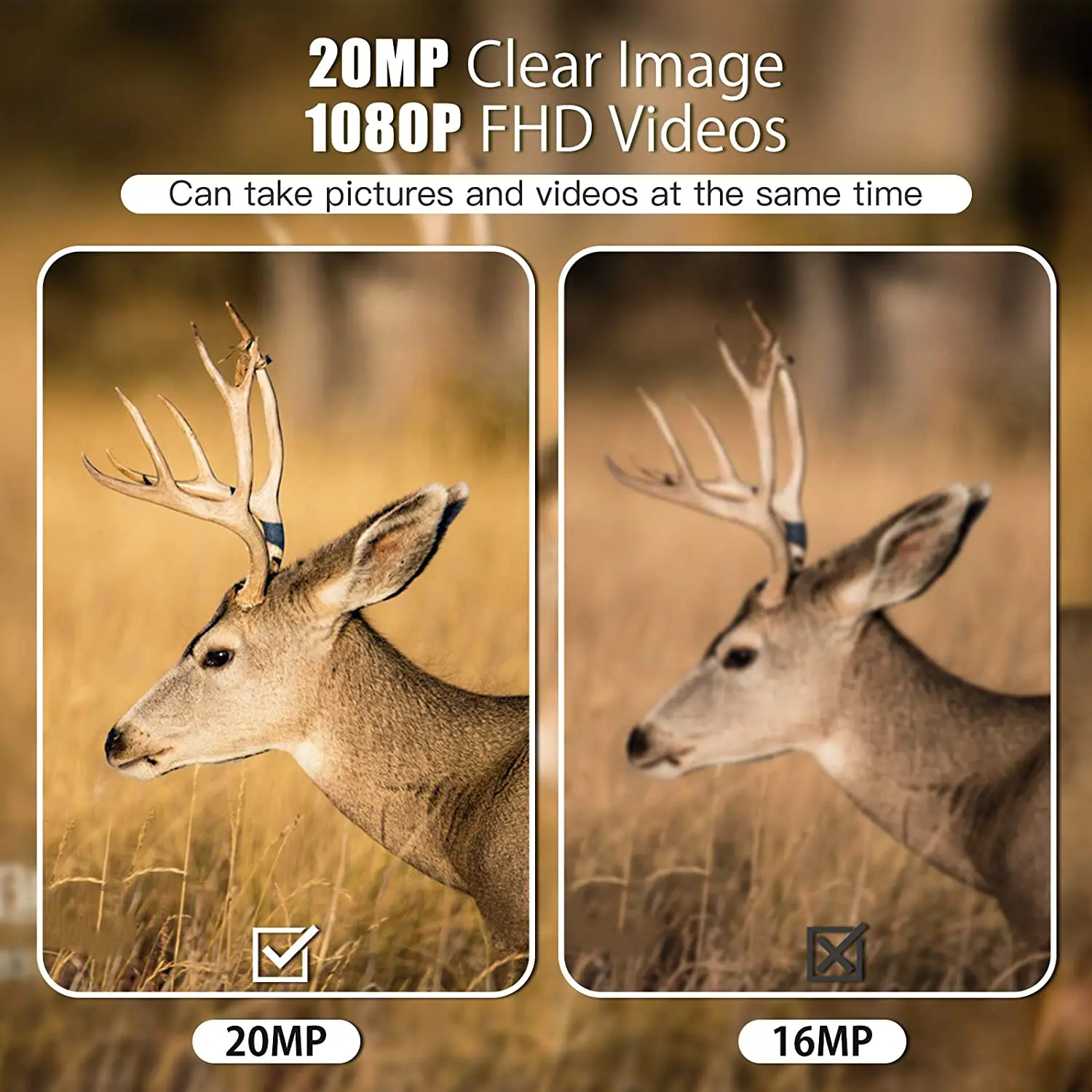 Mini Trail Hunting Camera Wild Hunter Cam Mini600 20MP 1080P Wildlife Animal Cameras Night Vision Photo Traps Surveillance