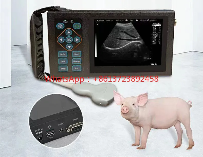 

Handheld medical ultrasound instrument for pet Digital Ultrasound Ultrasound Machine