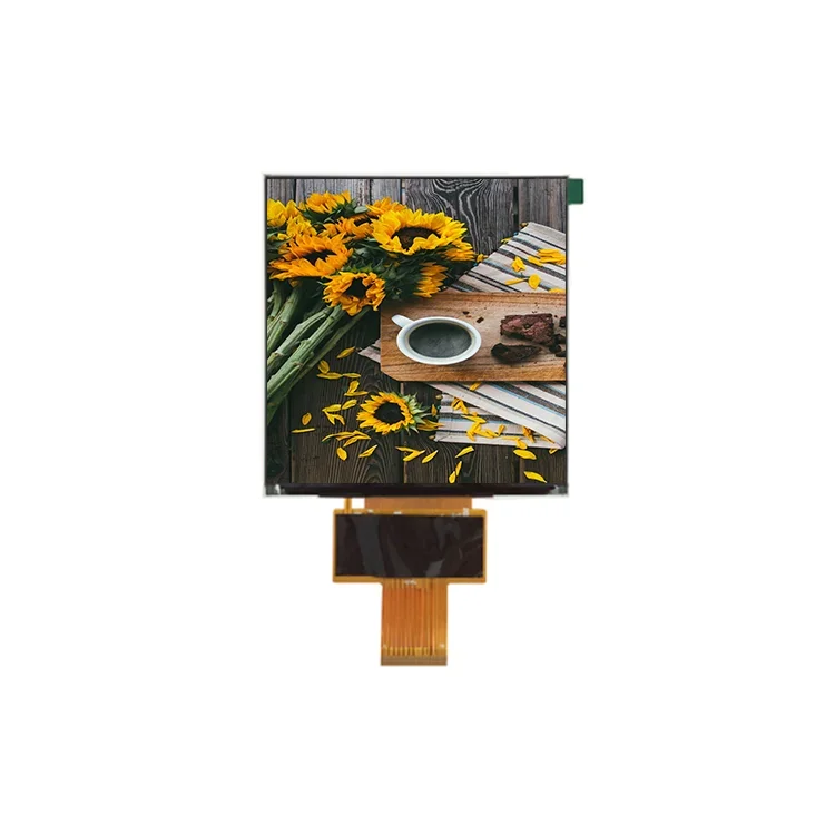 5 inch Square LCD Display Resolution 600x600 OTA7290B Driver IC TFT LCD Screen for AI Assistant Smart Home POS