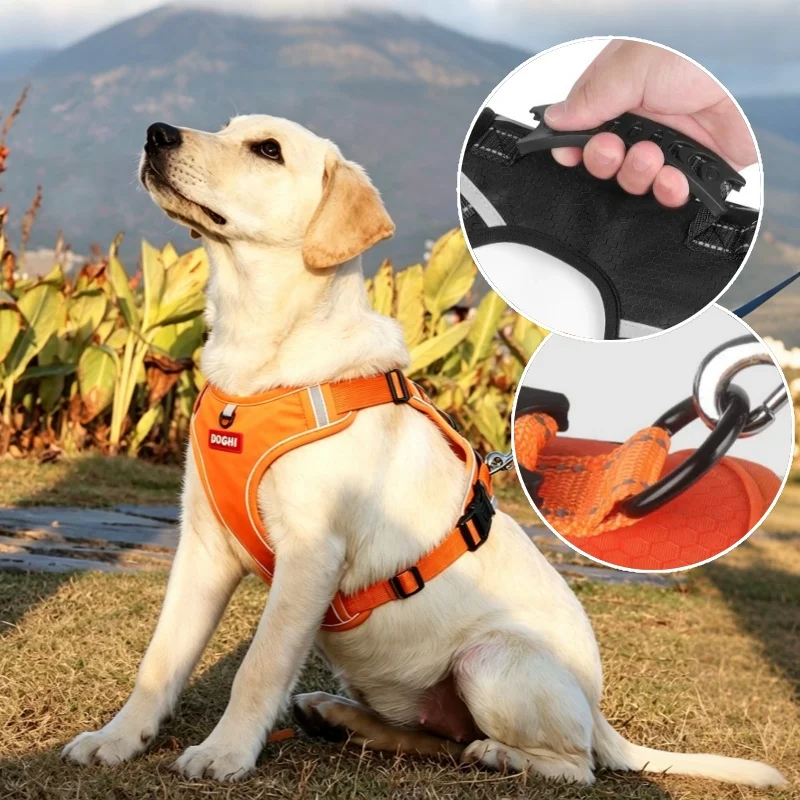 Peitoral Ajustável Para Cães Médios E Grandes Com Faixas Refletivas