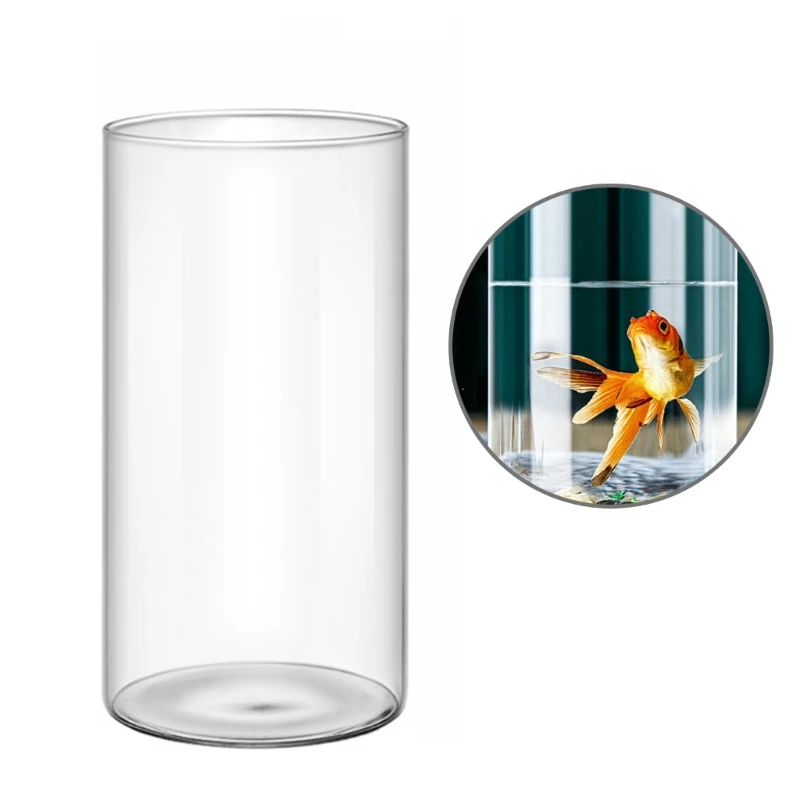 Bình Thủy Canh Thủy Tinh Rõ Ràng Bình Hoa Đèn Bàn Trung Tâm Kiểu Dáng Thả Con Tàu