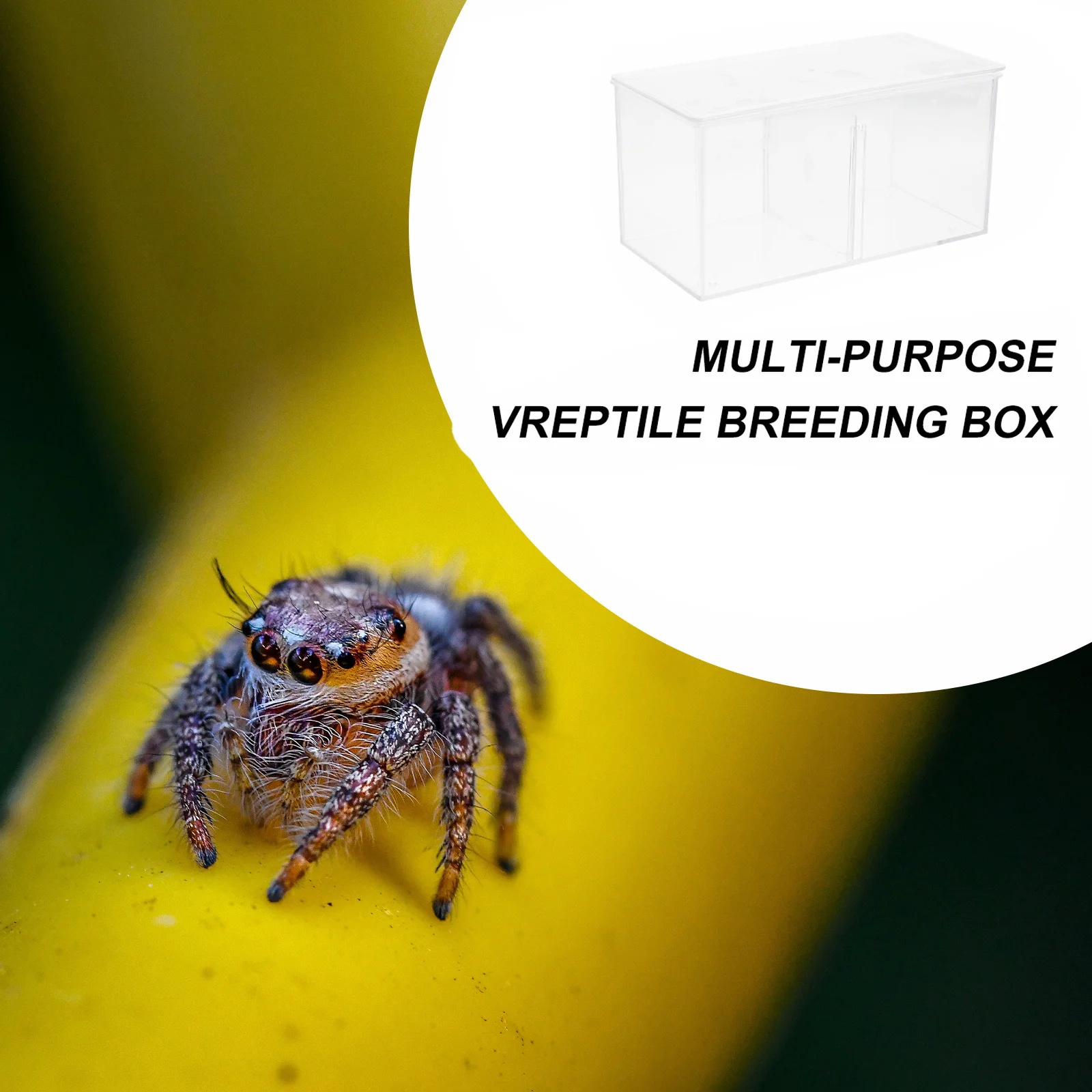 Insect Observation Box Clear Lid For Science Learning Teaching Instrument Breeding Tank Viewer Case Experiment Education